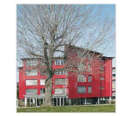 Slide 6